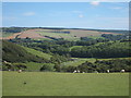 Fields near Meadowdown