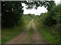 Farm track (footpath) off Hurst Lane