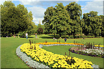 SU8486 : Flowerbed, Higginson Park, Marlow, Buckinghamshire by Christine Matthews