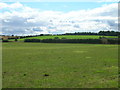 Farmland west of Scrooby