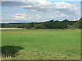 Farmland off the A638