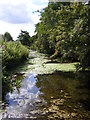 River Deben