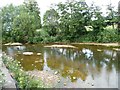 River Teme, upstream of Teme Bridge