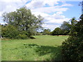 Footpath to Hall Lane