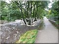 River Ribble in spate, Settle