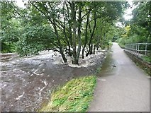 SD8164 : River Ribble in spate, Settle by Humphrey Bolton