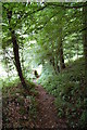 Footpath going up to Lone Lane