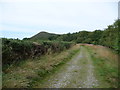 Path curving beside the Afon Ystwyth