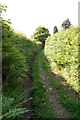 Sunken Lane and bridleway