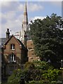 Buildings viewed from Imperial War Museum Gardens, Lambeth Road SE1