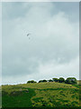 Hillside with hang glider, south-west of Llanddewi-Brefi, Ceredigion