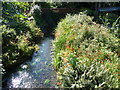 Part of the Afon Clarach below Pont Llangorwen