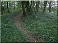 SK6148 : Earthwork in Fox Wood by Alan Murray-Rust