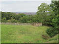 The valley of Allerton Burn near Greenhead Farm