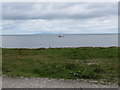 D3215 : View seawards across the raised beach at Whitebay by Eric Jones