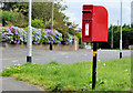 Letter box, Comber