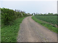 Footpath towards Hare Wood