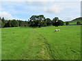 Track to the Valley of Desolation