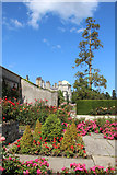 O2116 : Rose garden, Powerscourt, County Wicklow, Ireland by Christine Matthews