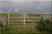 NR3549 : Gate on the B8016, Islay by Becky Williamson