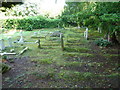 Churchyard at St Mary Ewshot (4)