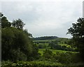 Blaze Farm in the distance