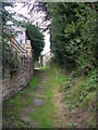 Bridleway - Bachelor Lane