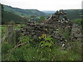 Ruin, above Llawer y Glyn