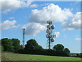 Communications masts, Stillingfleet Hill