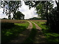 SE6938 : Farm track near North Duffield Lodge by JThomas