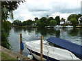 Walk along the Thames from Runnymede to Old Windsor (62)