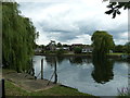 Walk along the Thames from Runnymede to Old Windsor (63)