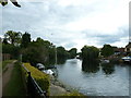 Walk along the Thames from Runnymede to Old Windsor (65)