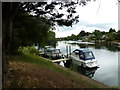 Walk along the Thames from Runnymede to Old Windsor (66)