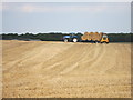 Collecting the bales