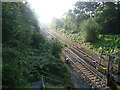 Railway lines seen from Downs Bridge Road