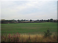 Crop field looking towards Hadnall from railway