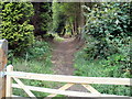 Track from Mountain Road, Caerphilly into woodland