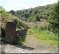 Overgrown track viewed from Mountain Road, Caerphilly