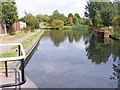SO8986 : Stourbridge Canal View by Gordon Griffiths