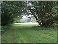 Bridleway  in Withington Woods