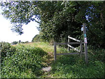 TM2250 : Footpath to Gull Lane by Geographer