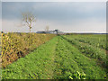 Footpath from Weston Woods Farm