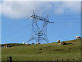 Craigbrae Pylons