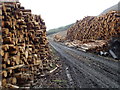 NX4182 : Timber harvest awaits collection near Culsharg by Bob Peace