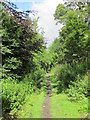 Trackbed of the former mineral railway between Ashes Quarry and Crawleyside