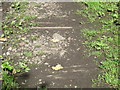 Wooden sleepers in the trackbed of the former mineral railway between Ashes Quarry and Crawleyside