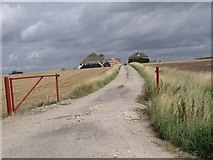 TF1357 : Track to Priory Hill Cottages and Farm by J.Hannan-Briggs