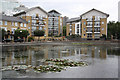 Wapping Basin