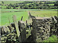 Footpath towards Shavey Clough